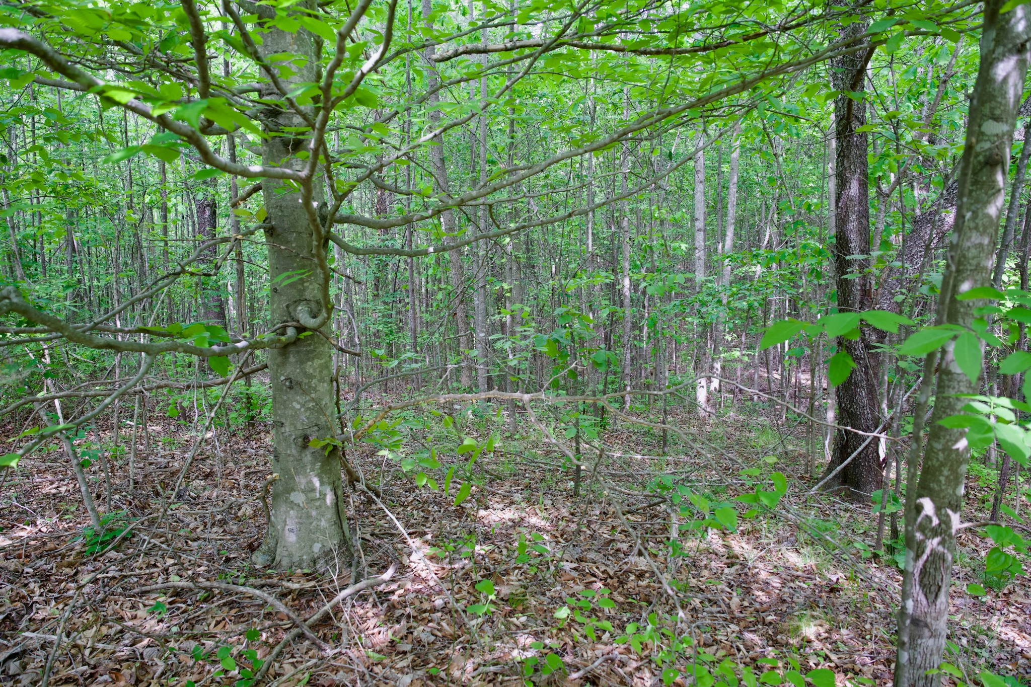0 Valley View Drive Spencer TN 38585