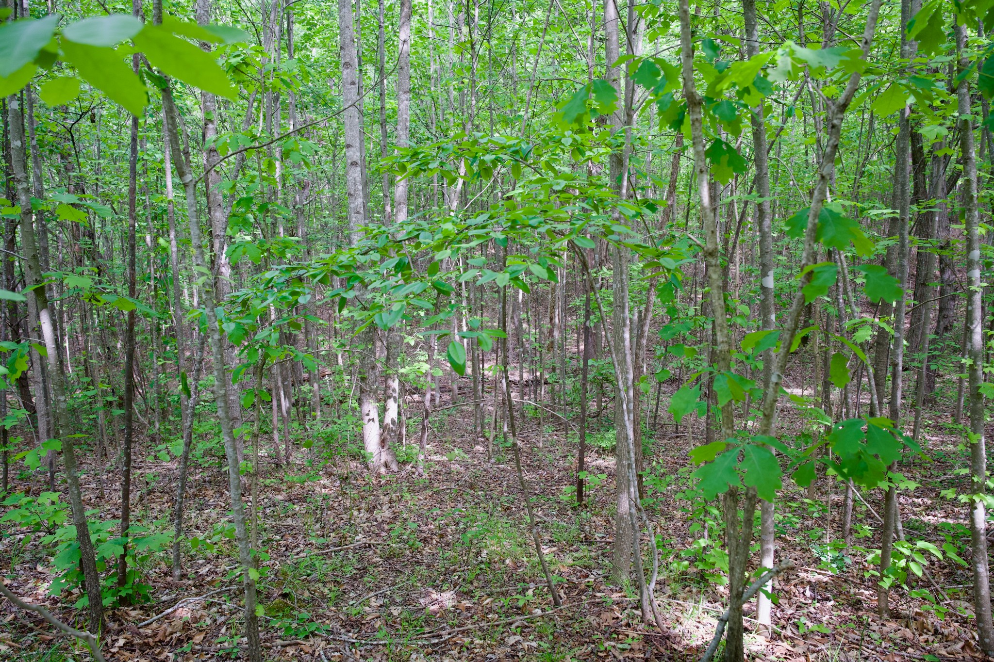 0 Valley View Drive Spencer TN 38585