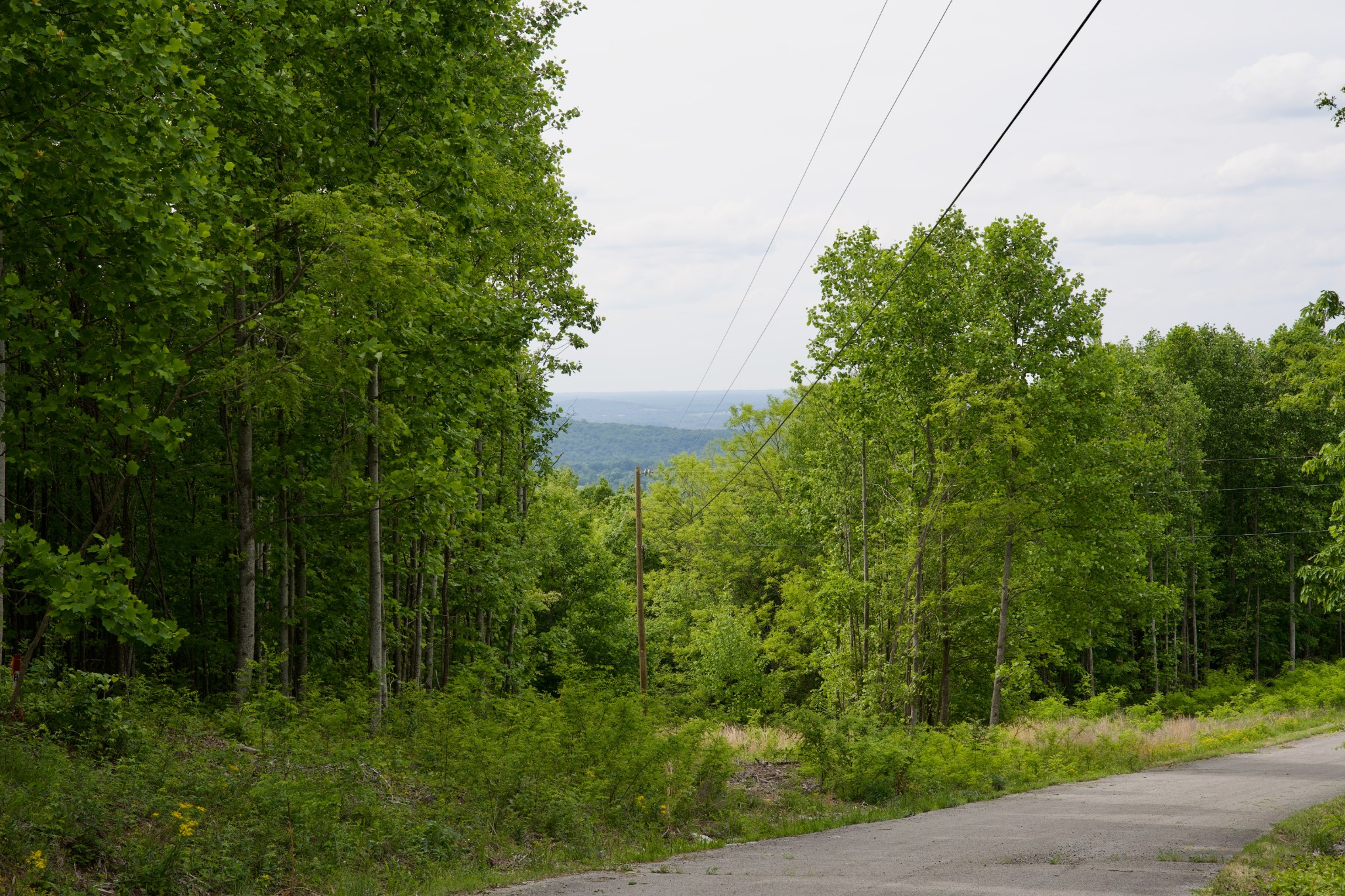 0 Valley View Drive Spencer TN 38585