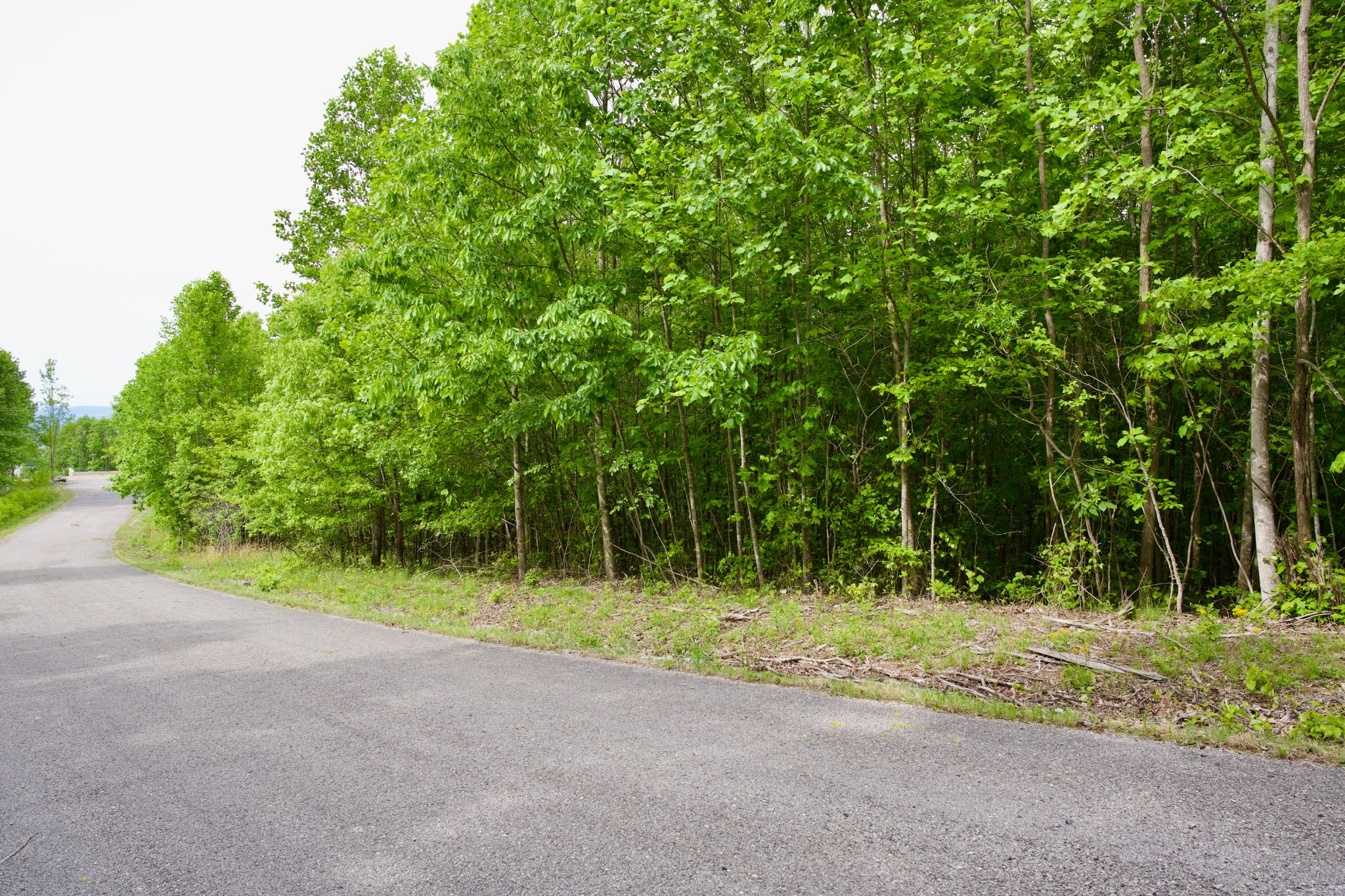 0 Valley View Drive Spencer TN 38585