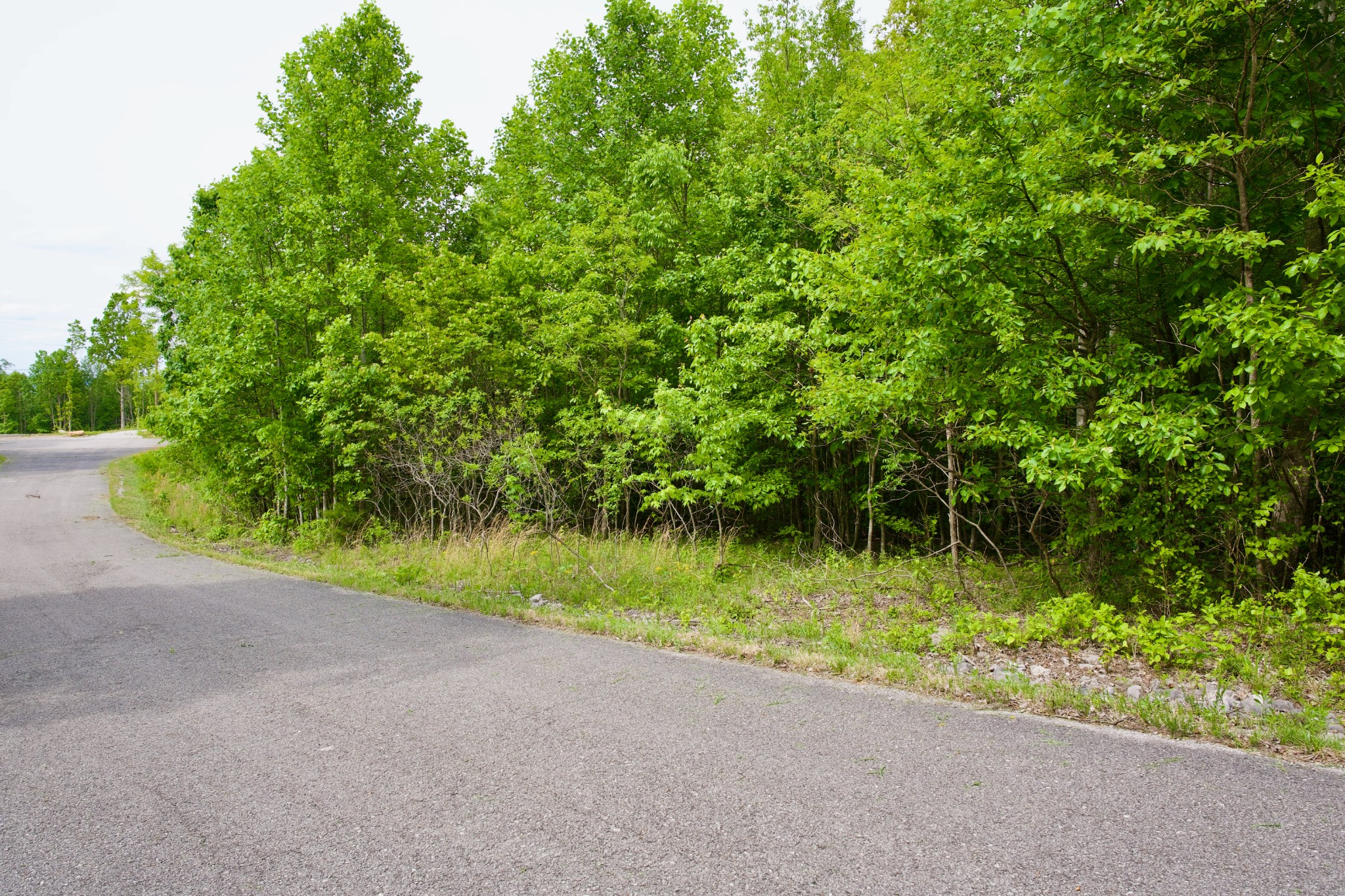 0 Valley View Drive Spencer TN 38585