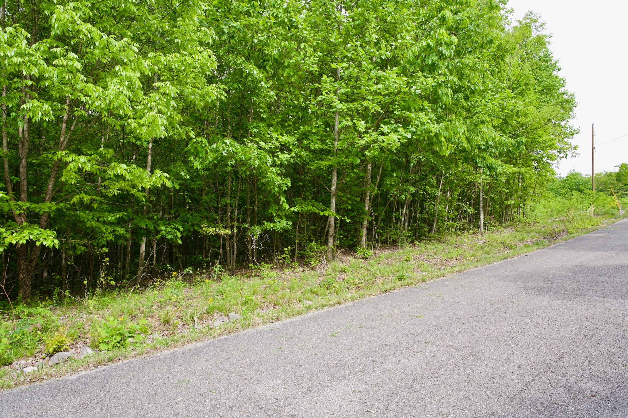 0 Valley View Drive Spencer TN 38585