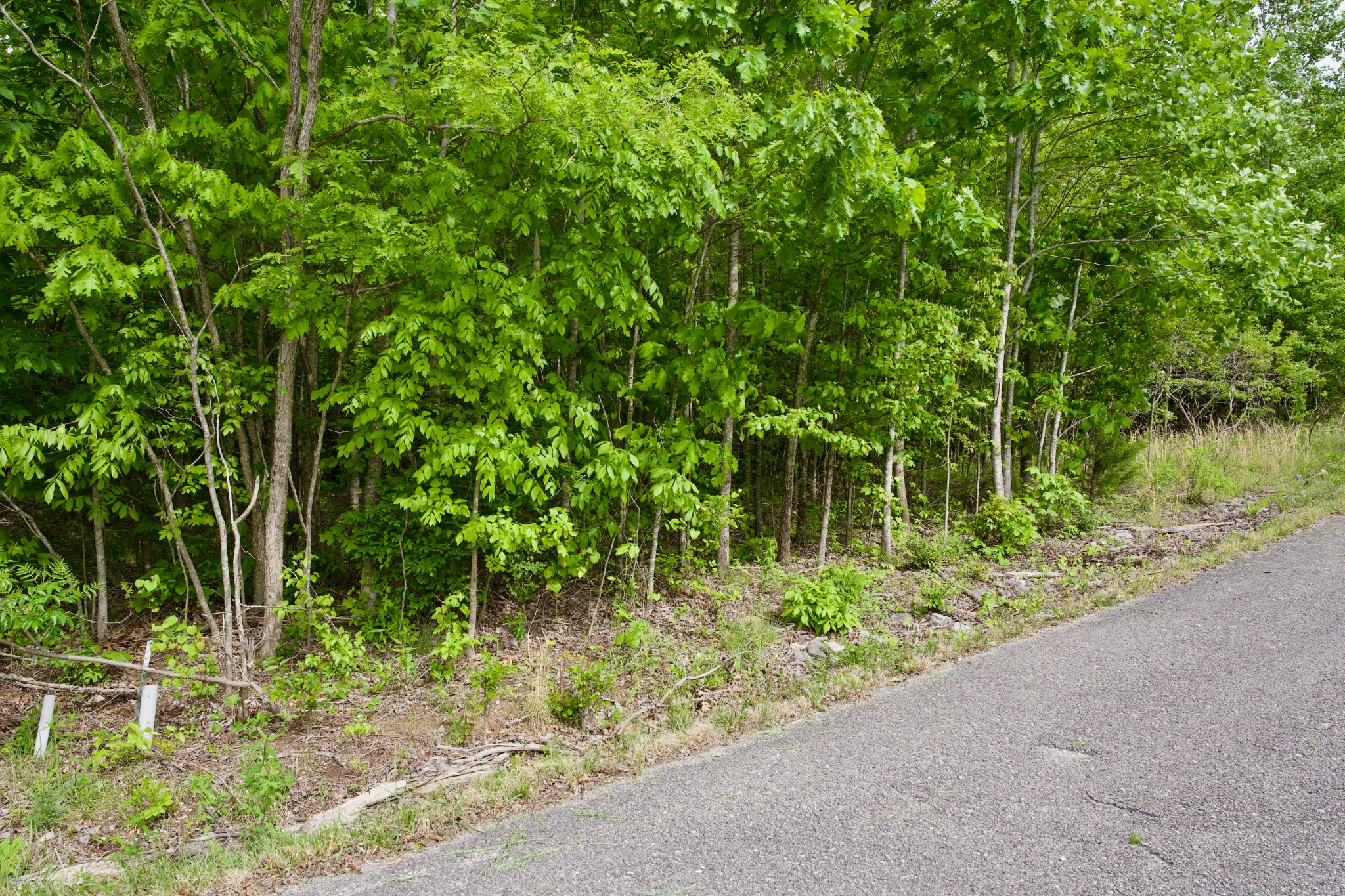 0 Valley View Drive Spencer TN 38585
