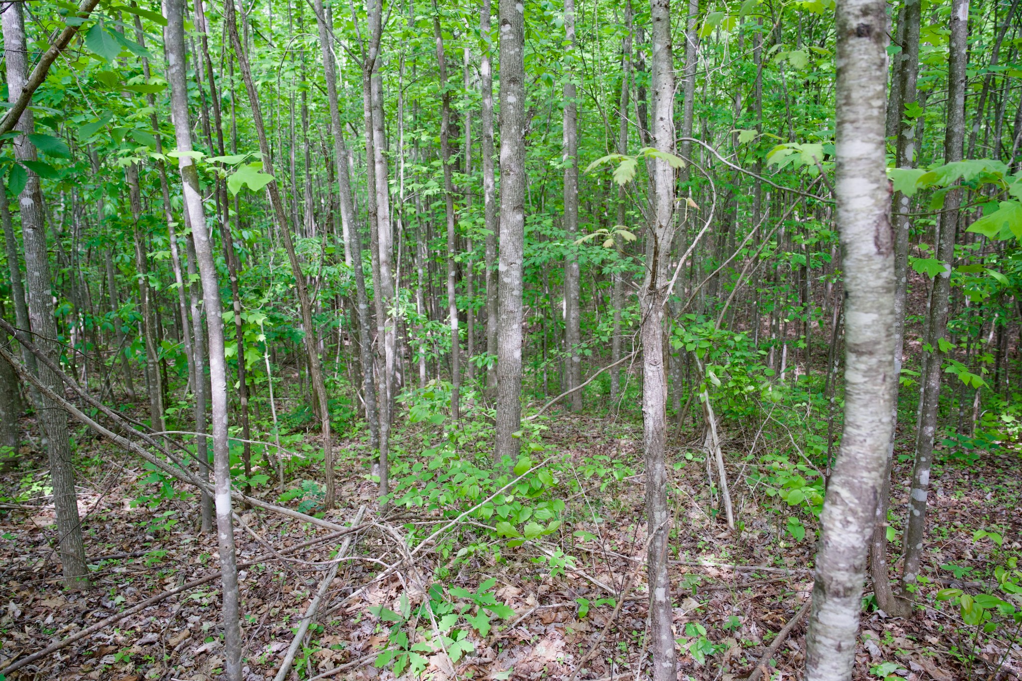 0 Valley View Drive Spencer TN 38585