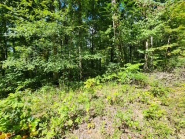 0 Tomahawk Road Jamestown TN 38556