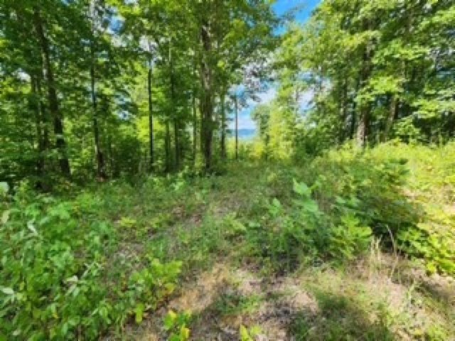 0 Tomahawk Road Jamestown TN 38556