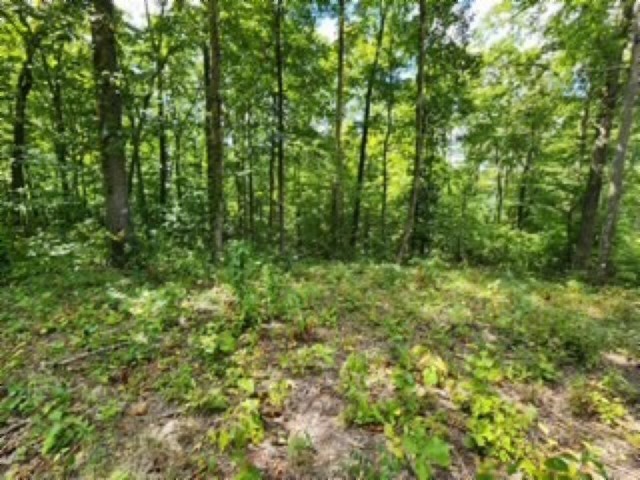 0 Tomahawk Road Jamestown TN 38556