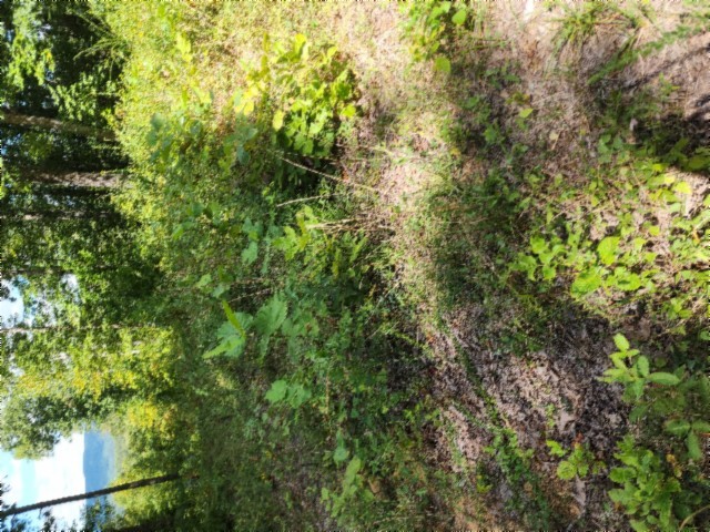 0 Tomahawk Road Jamestown TN 38556