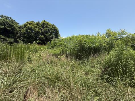 60 Lees Ford Lane Winchester TN 37398