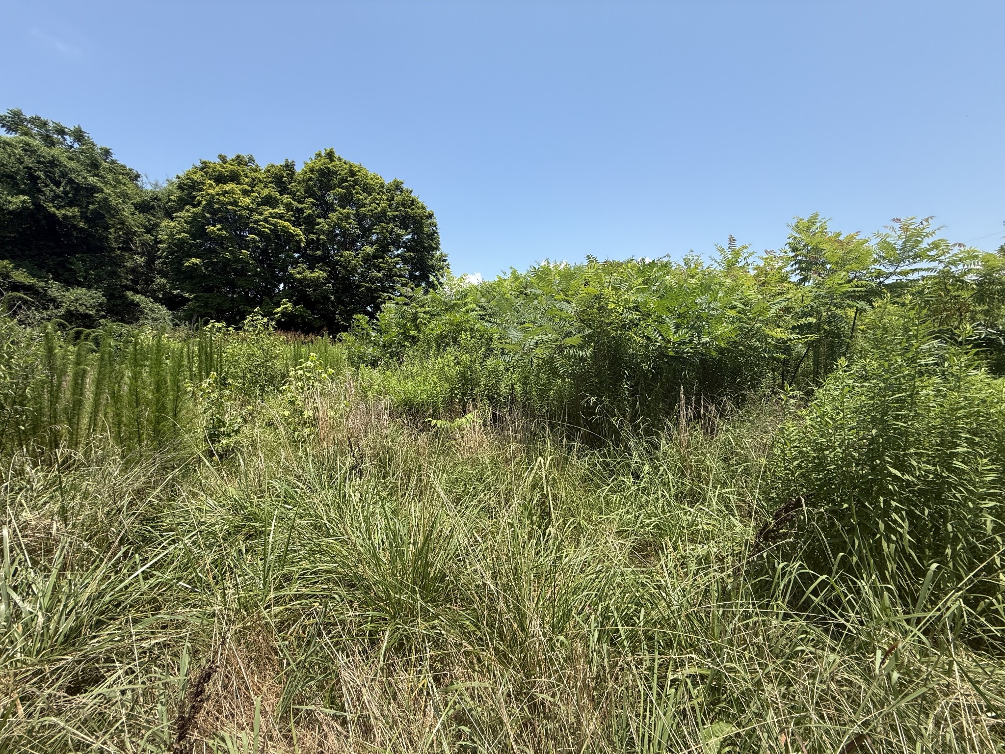 60 Lees Ford Lane Winchester TN 37398