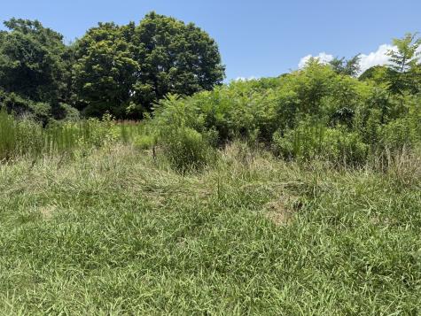 60 Lees Ford Lane Winchester TN 37398