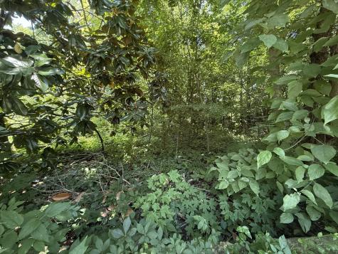 60 Lees Ford Lane Winchester TN 37398