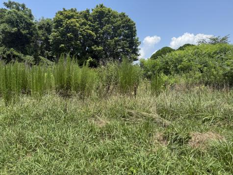 60 Lees Ford Lane Winchester TN 37398