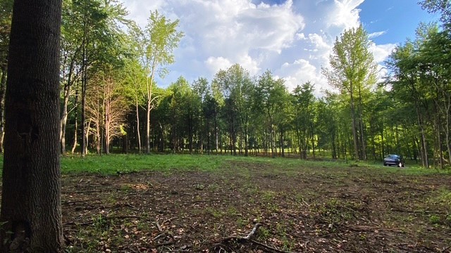 7870 Bill Moss Road White House TN 37188