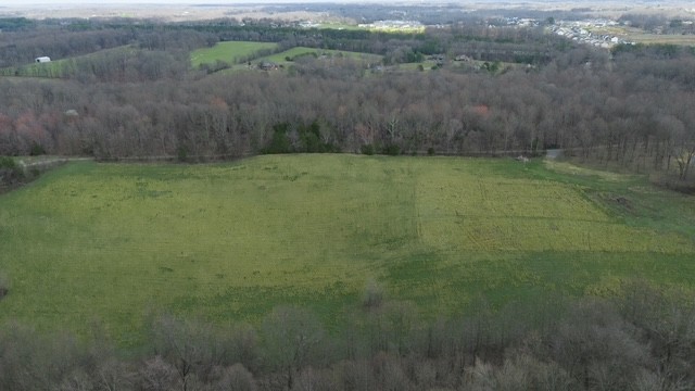 7870 Bill Moss Road White House TN 37188