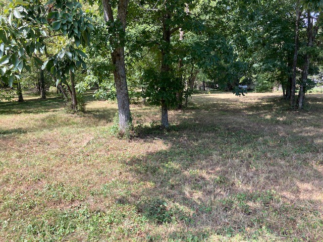 0 N Hurricane Creek Road, N Mc Ewen TN 37101
