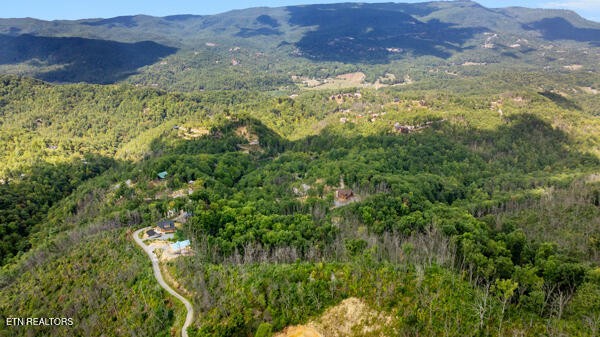 0 Crown Circle Sevierville TN 37862