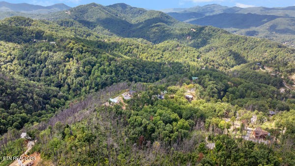 0 Crown Circle Sevierville TN 37862