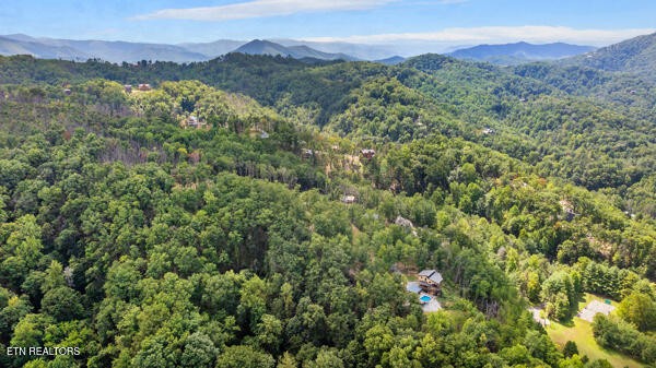 0 Crown Circle Sevierville TN 37862