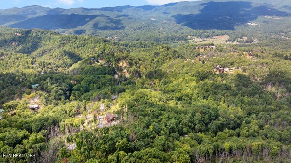 0 Crown Circle Sevierville TN 37862