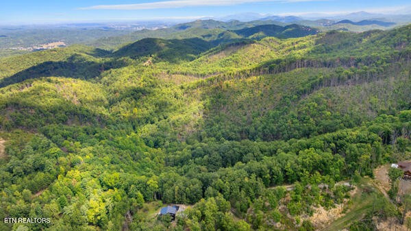 0 Crown Circle Sevierville TN 37862