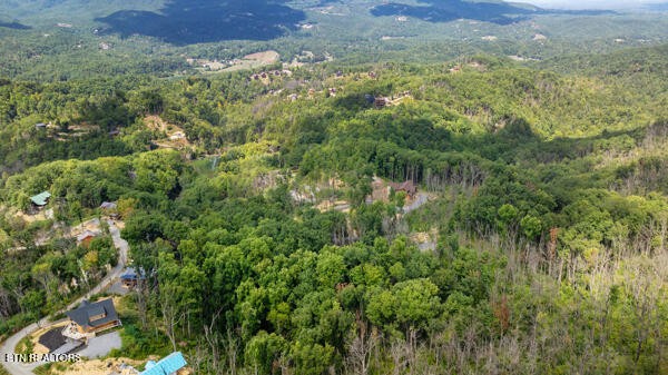 0 Crown Circle Sevierville TN 37862