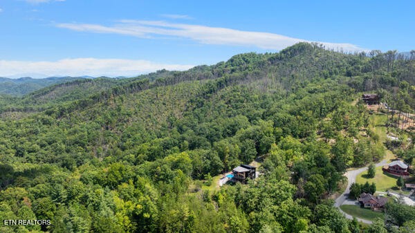 0 Crown Circle Sevierville TN 37862
