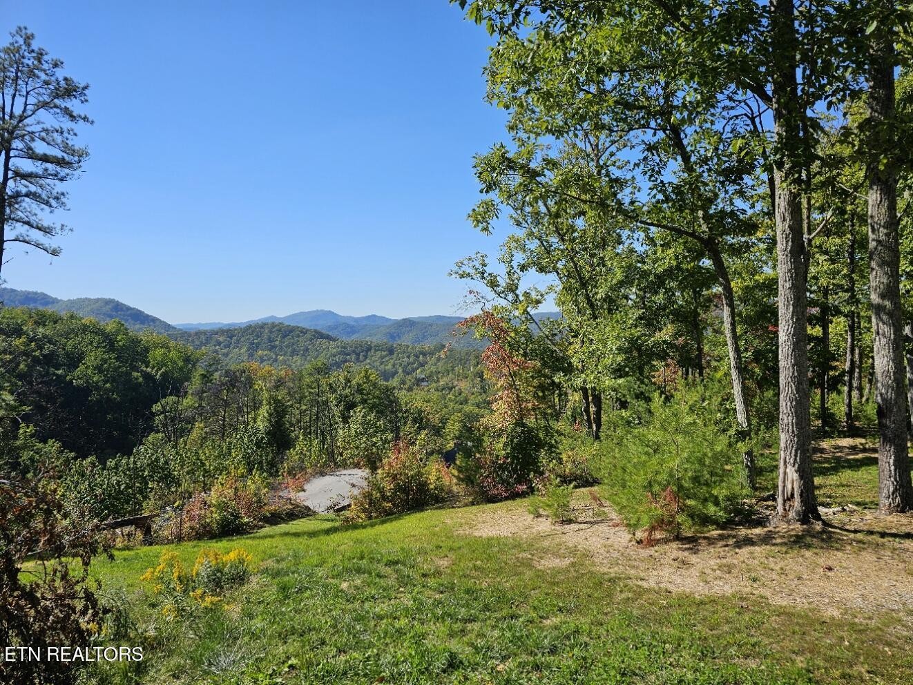 0 Crown Circle Sevierville TN 37862
