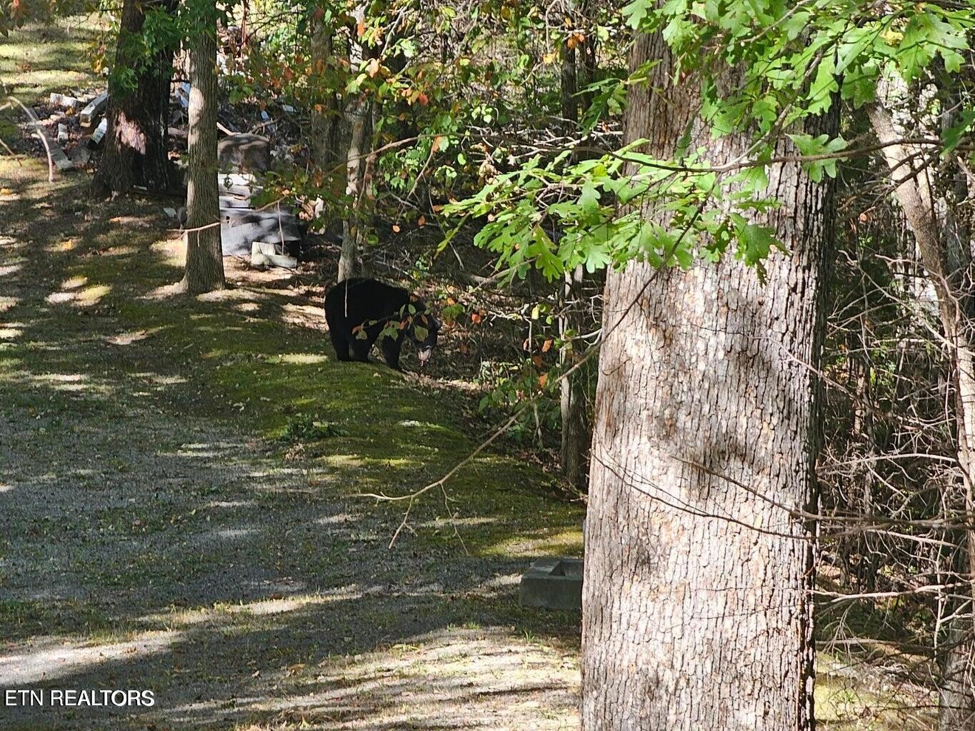 0 Crown Circle Sevierville TN 37862