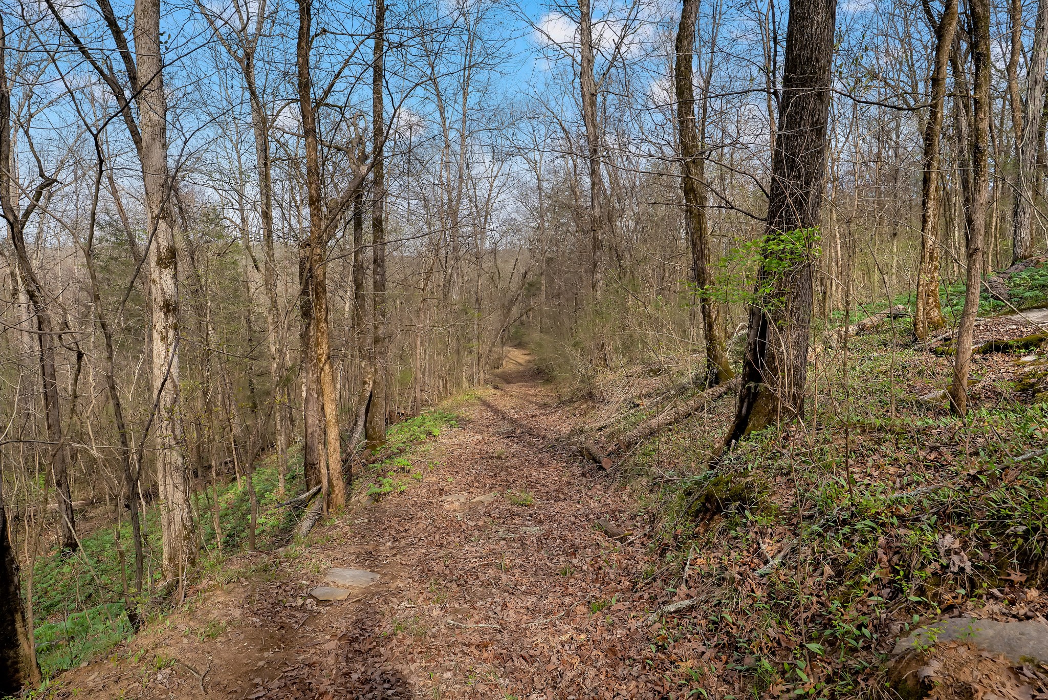 0 Shelbyville Highway Fayetteville TN 37334