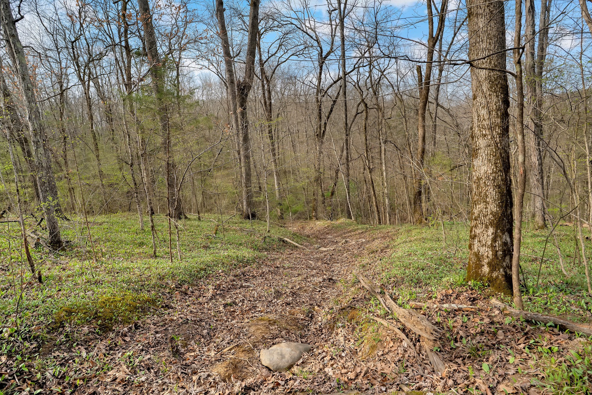 0 Shelbyville Highway Fayetteville TN 37334