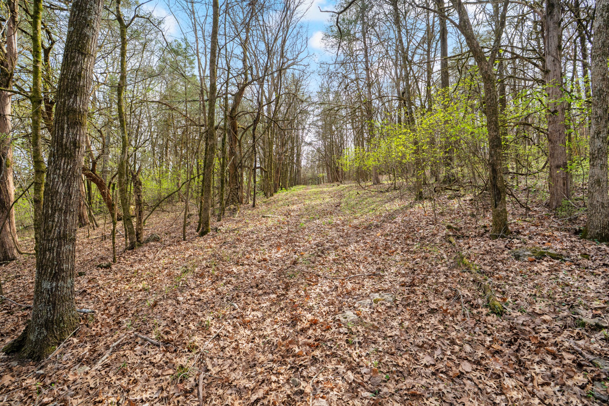 0 Shelbyville Highway Fayetteville TN 37334