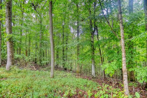 1061 Northfork Dr, W Ashland City TN 37015