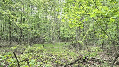 6070 Raulston Falls Road Jasper TN 37347