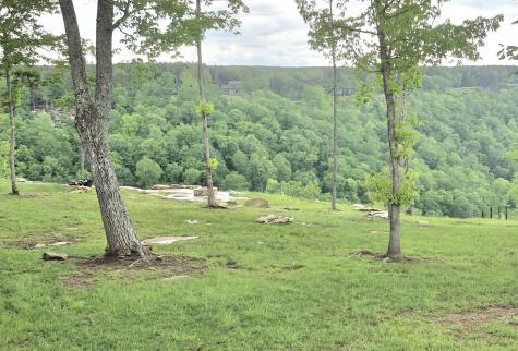 6070 Raulston Falls Road Jasper TN 37347