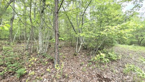 6070 Raulston Falls Road Jasper TN 37347