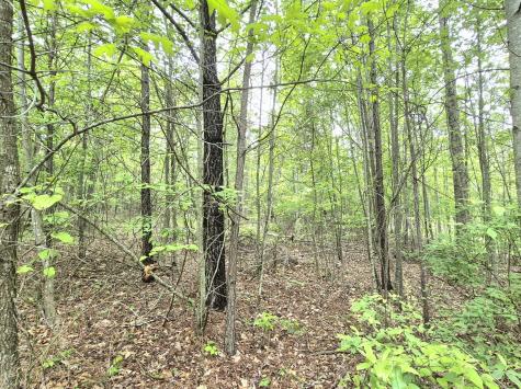 6070 Raulston Falls Road Jasper TN 37347