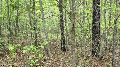 6070 Raulston Falls Road Jasper TN 37347