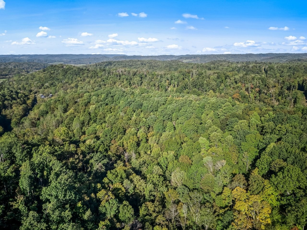 1979 Norton Branch Road Beechgrove TN 37018
