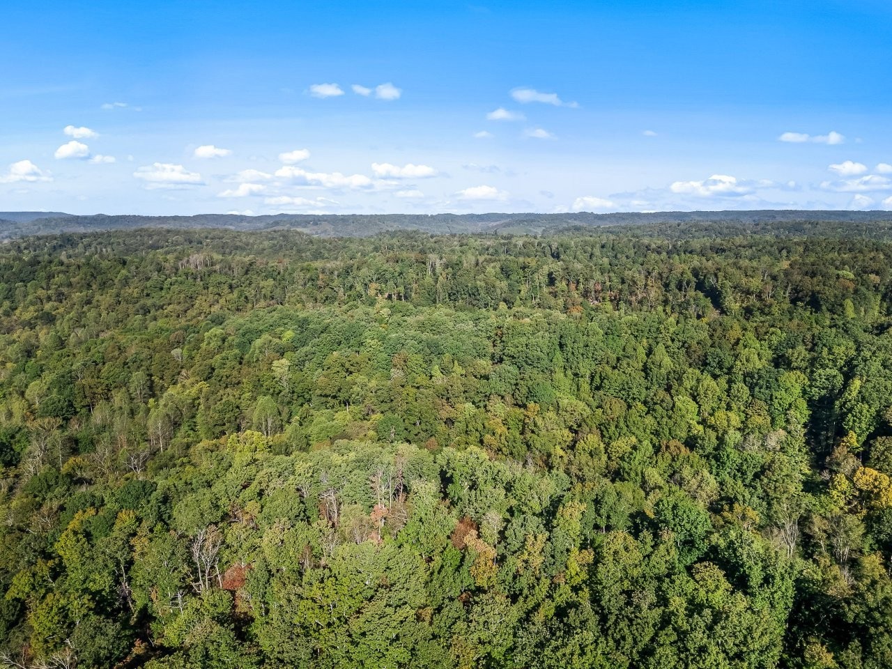 1979 Norton Branch Road Beechgrove TN 37018