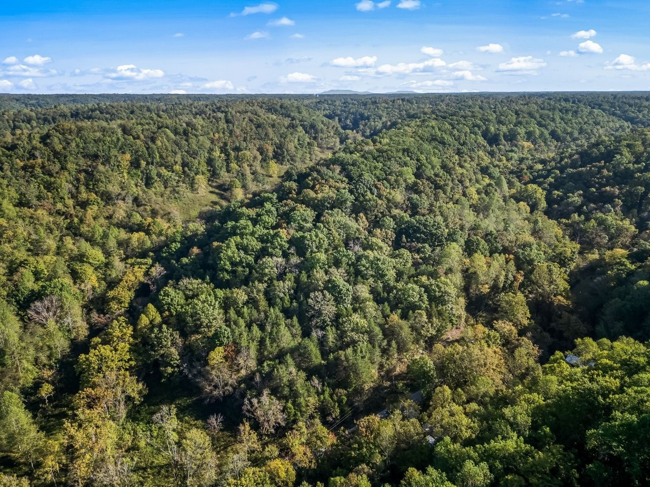 1979 Norton Branch Road Beechgrove TN 37018
