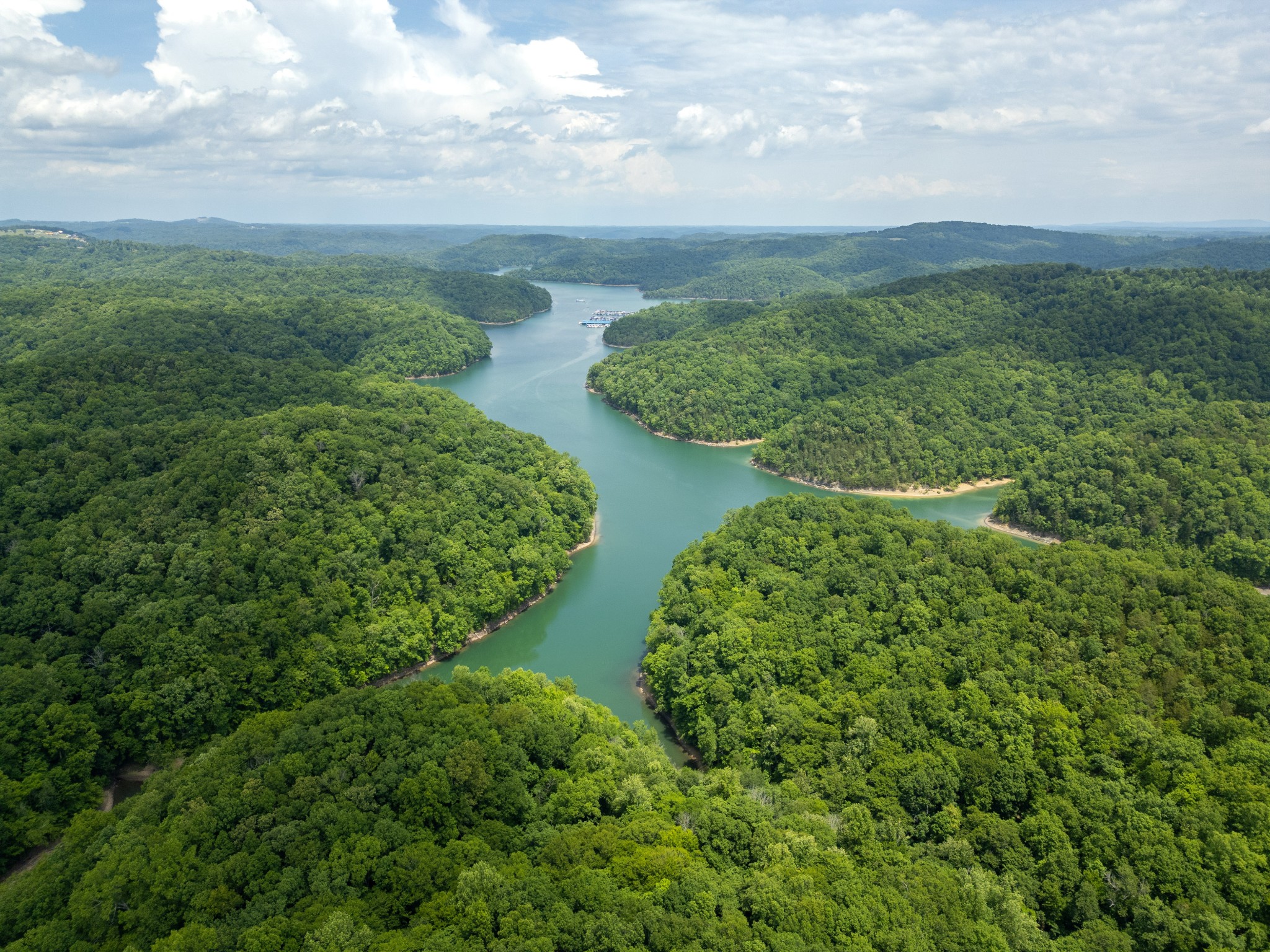 241 Hidden Cove Lane Allons TN 38541