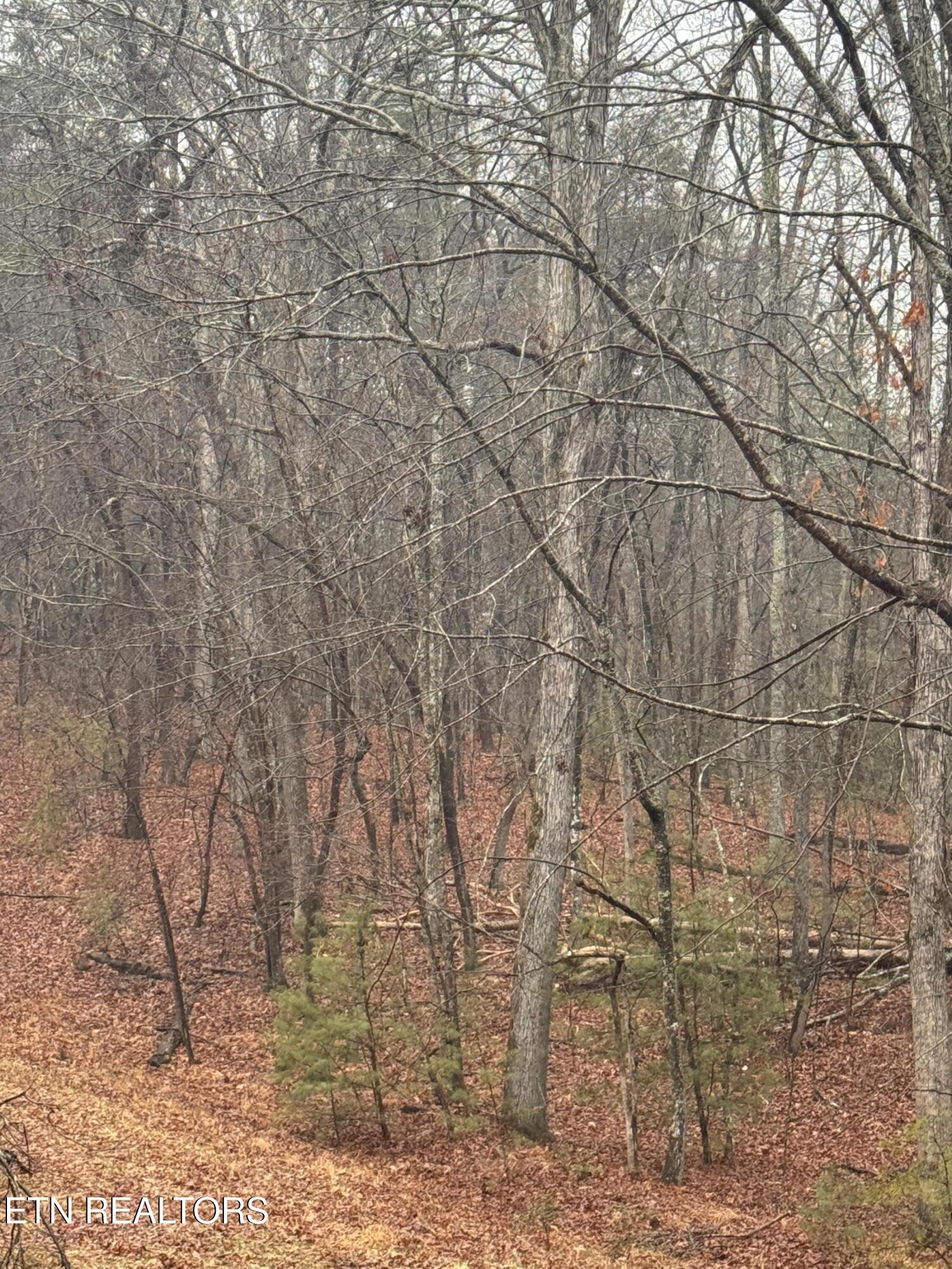 18 Bacham Court Crossville TN 38558