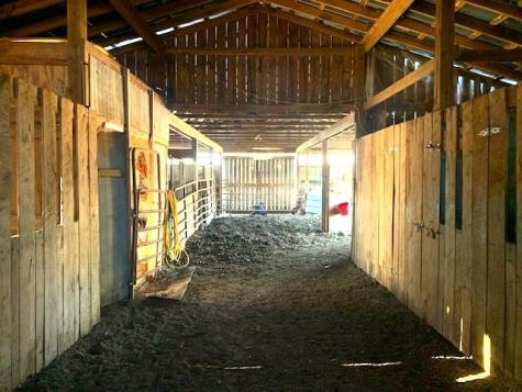 2135 Highway 82 South Shelbyville TN 37160