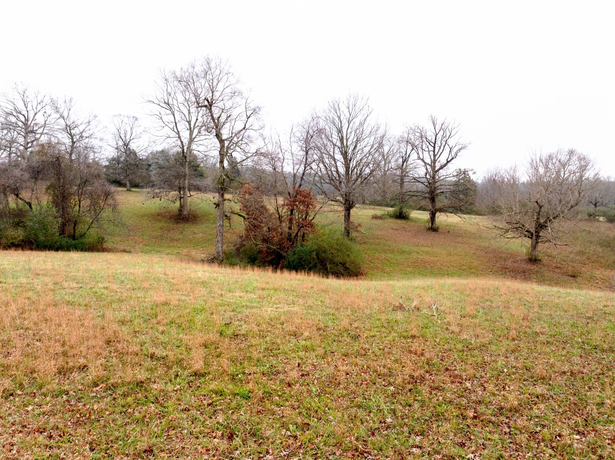 0 Ridgecrest Drive Dickson TN 37055