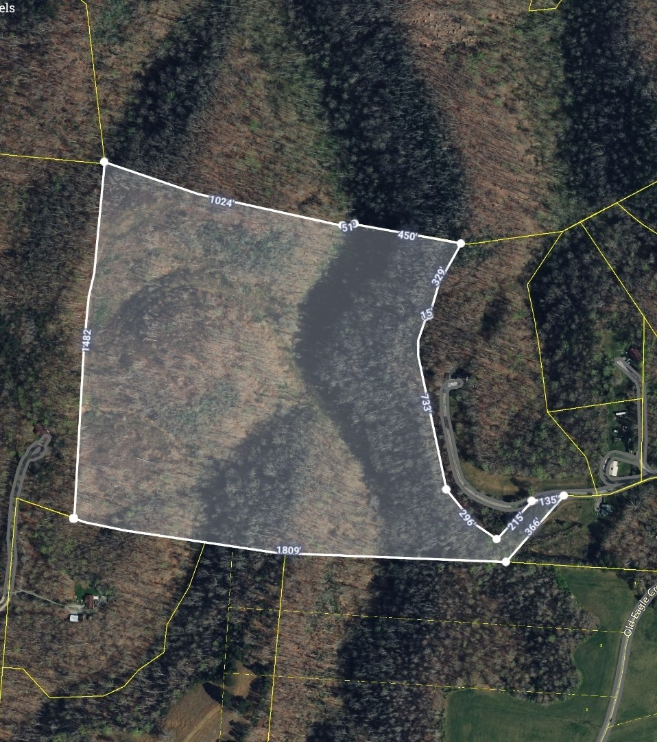 0 Eagle Creek Road Old Eagle Creek Smithville TN 37166
