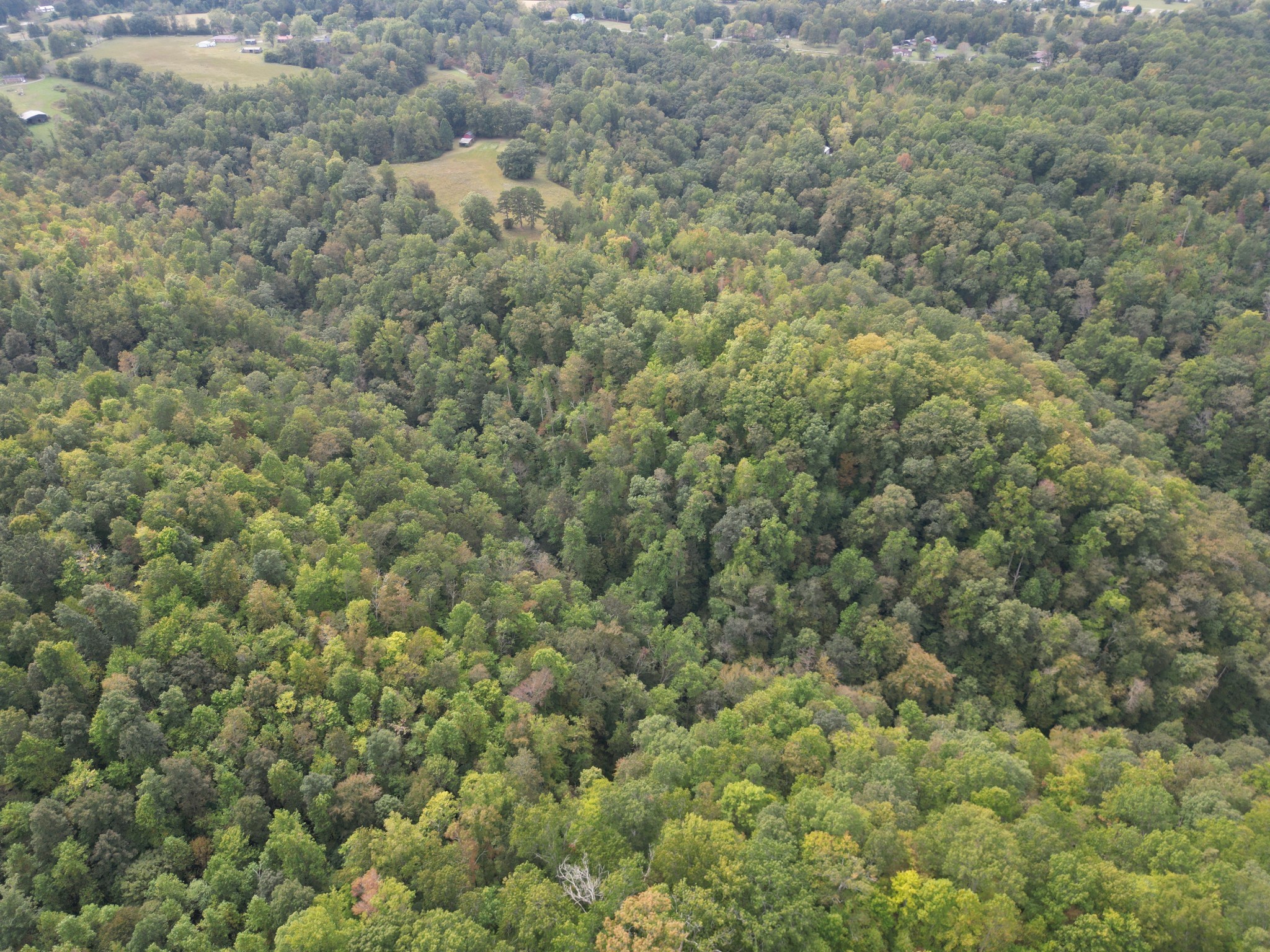0 Eagle Creek Road Old Eagle Creek Smithville TN 37166