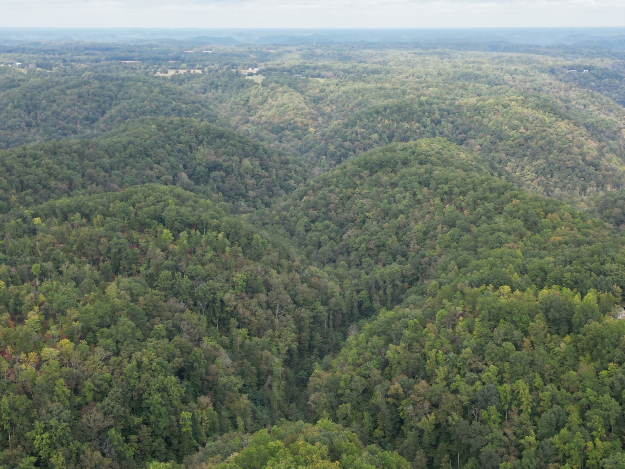0 Eagle Creek Road Old Eagle Creek Smithville TN 37166