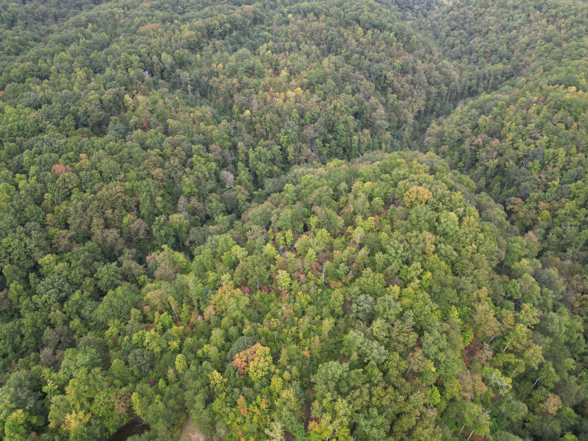 0 Eagle Creek Road Old Eagle Creek Smithville TN 37166