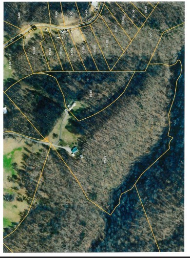 214 Dont Care Lane Celina TN 38551